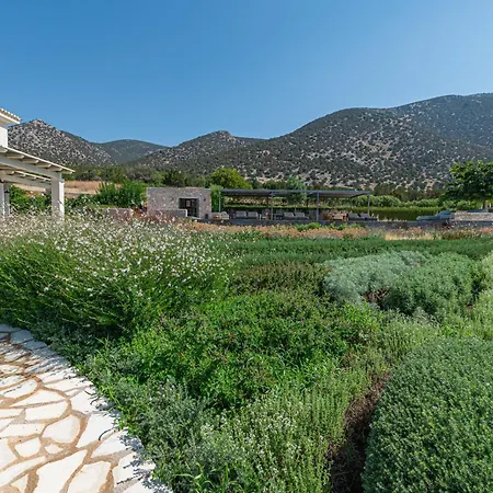 Vila Salanti Hillcrest *