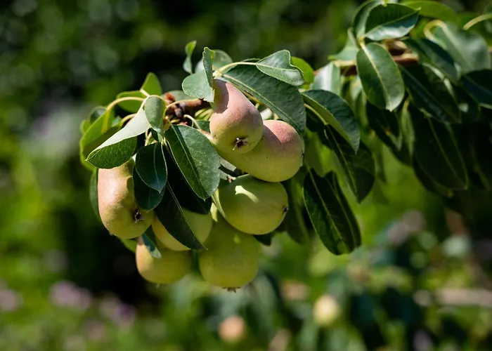 Salanti Hillcrest Willa Dhídhima