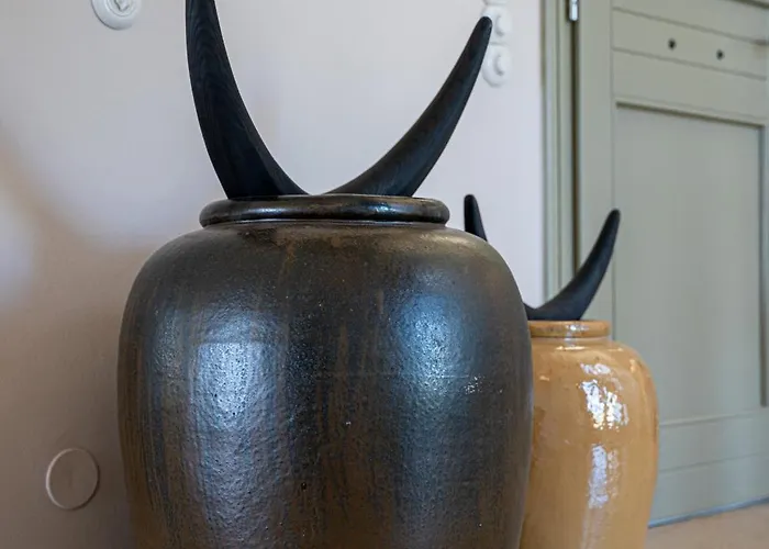 Willa Salanti Hillcrest